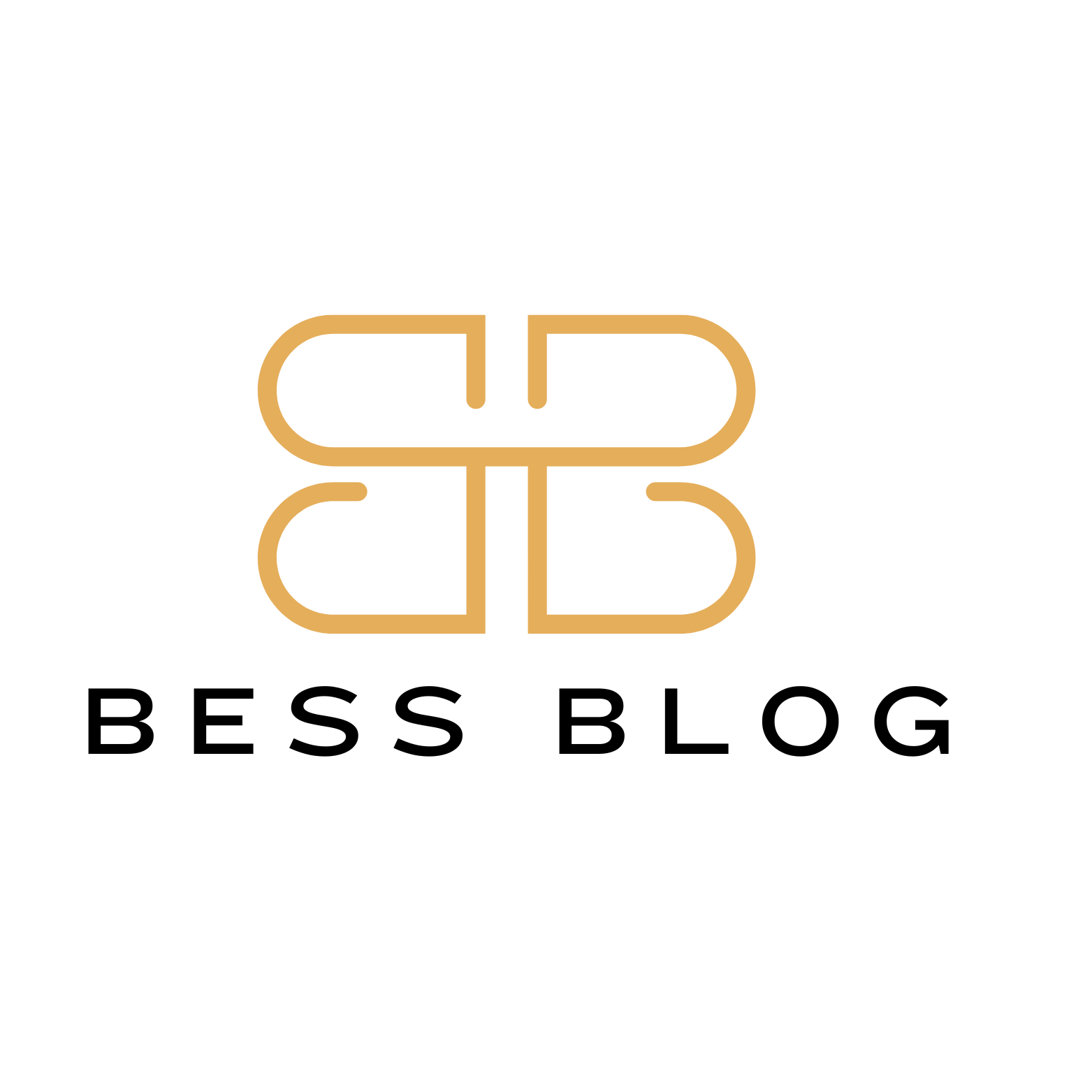 White and Black Minimalist Modern Letter BB Monogram Logo (1)