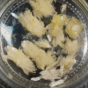 Alternative view of DMT crystals